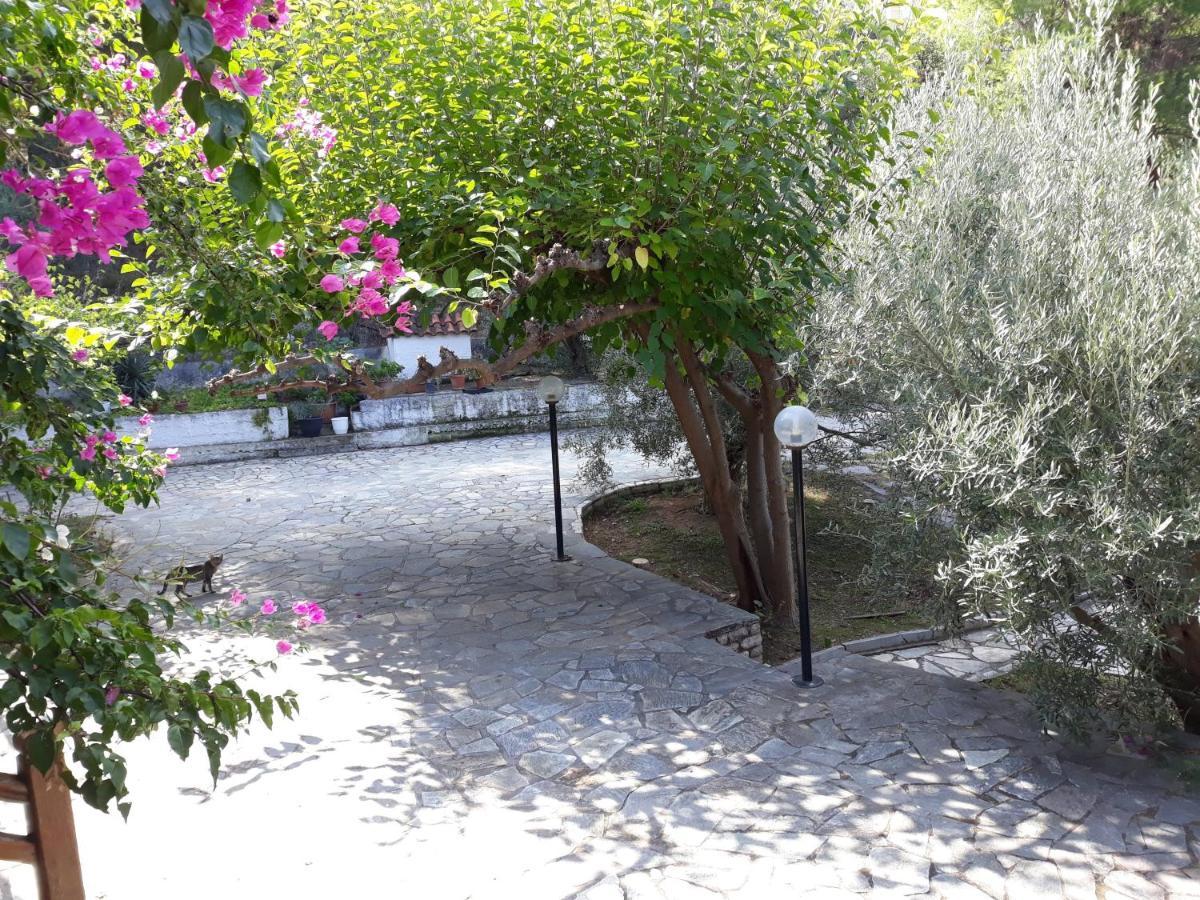 Σπίτι Σε Ελαιώνα, House In An Olive Grove Apartment Ária Екстериор снимка