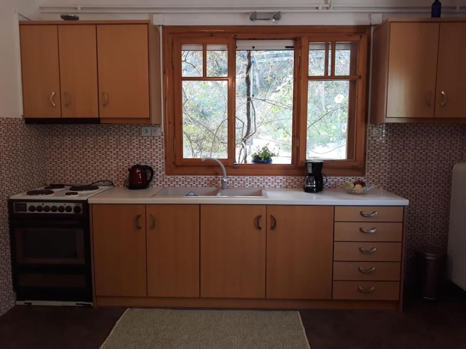 Σπίτι Σε Ελαιώνα, House In An Olive Grove Apartment Ária Екстериор снимка