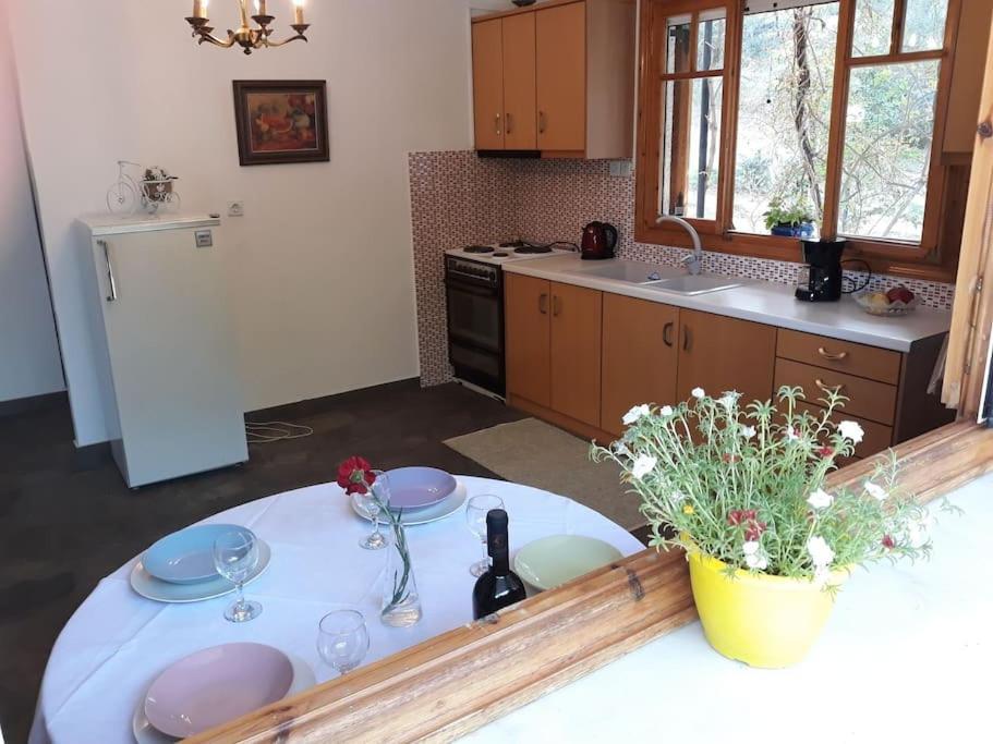 Σπίτι Σε Ελαιώνα, House In An Olive Grove Apartment Ária Екстериор снимка