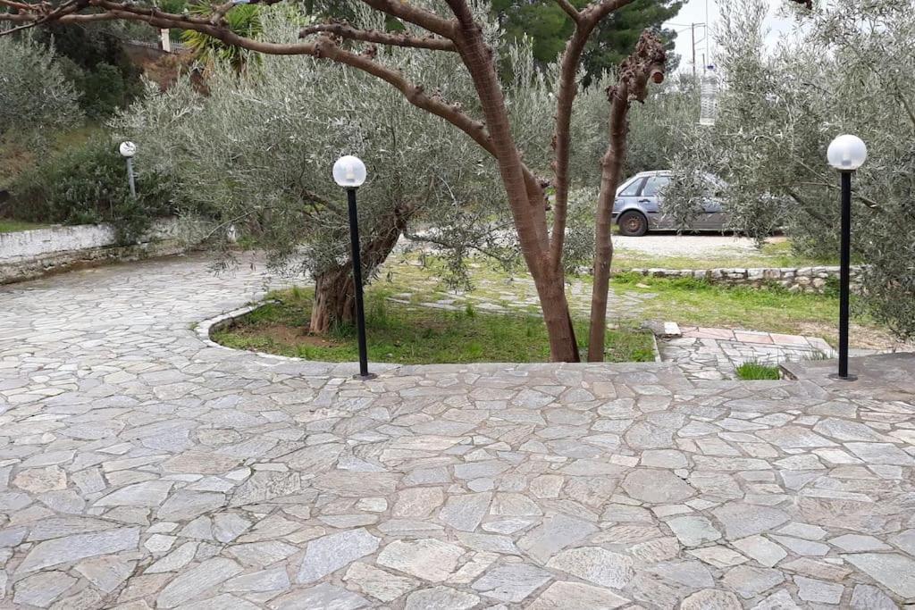 Σπίτι Σε Ελαιώνα, House In An Olive Grove Apartment Ária Екстериор снимка