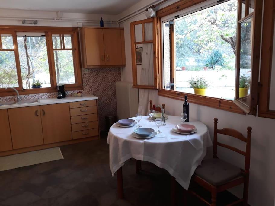 Σπίτι Σε Ελαιώνα, House In An Olive Grove Apartment Ária Екстериор снимка