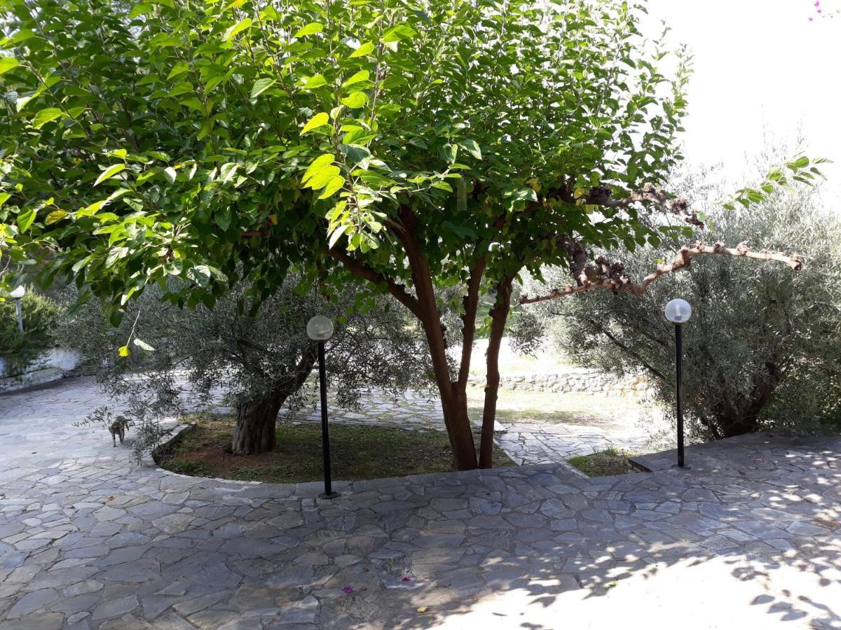 Σπίτι Σε Ελαιώνα, House In An Olive Grove Apartment Ária Екстериор снимка