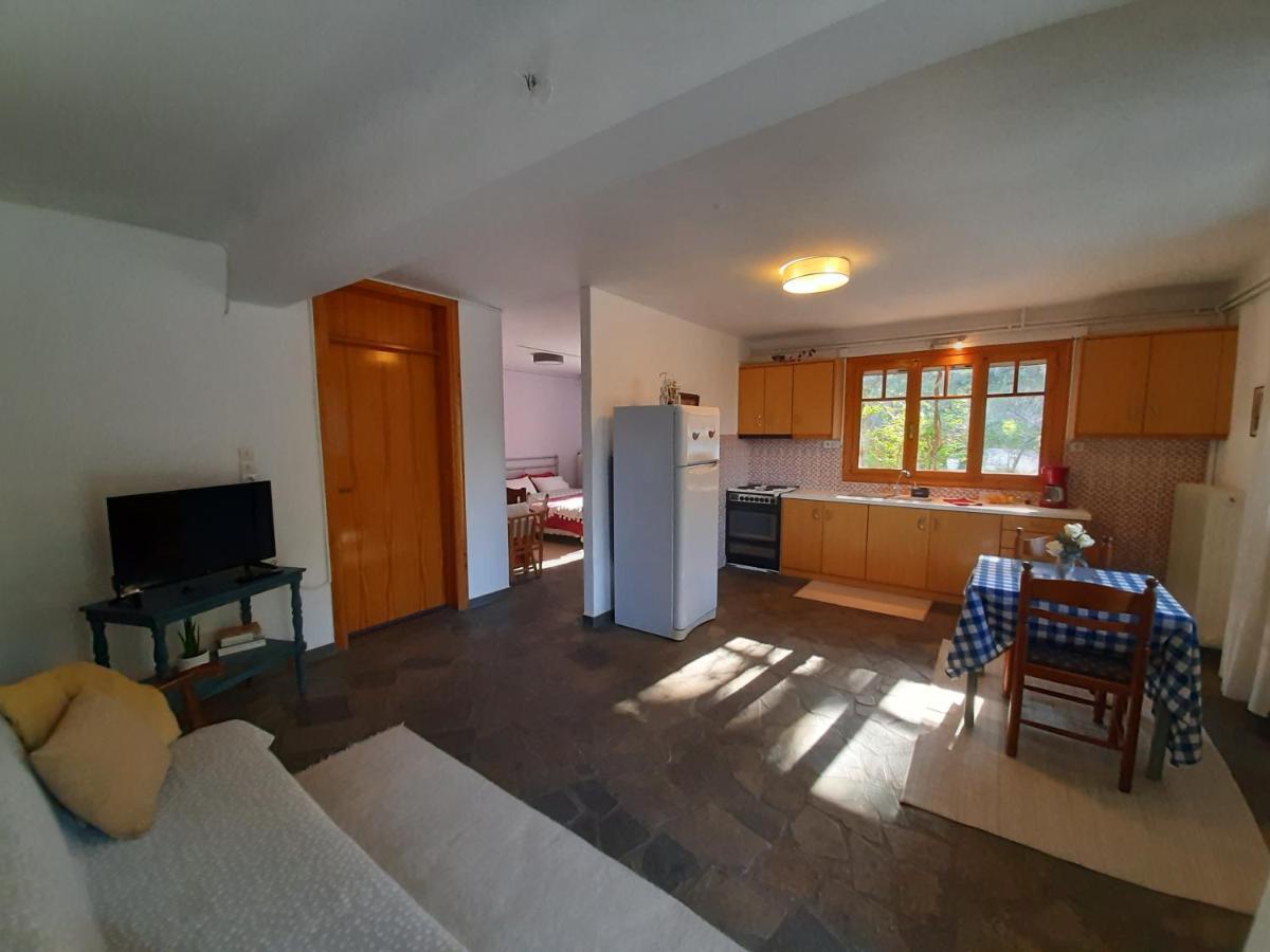 Σπίτι Σε Ελαιώνα, House In An Olive Grove Apartment Ária Екстериор снимка