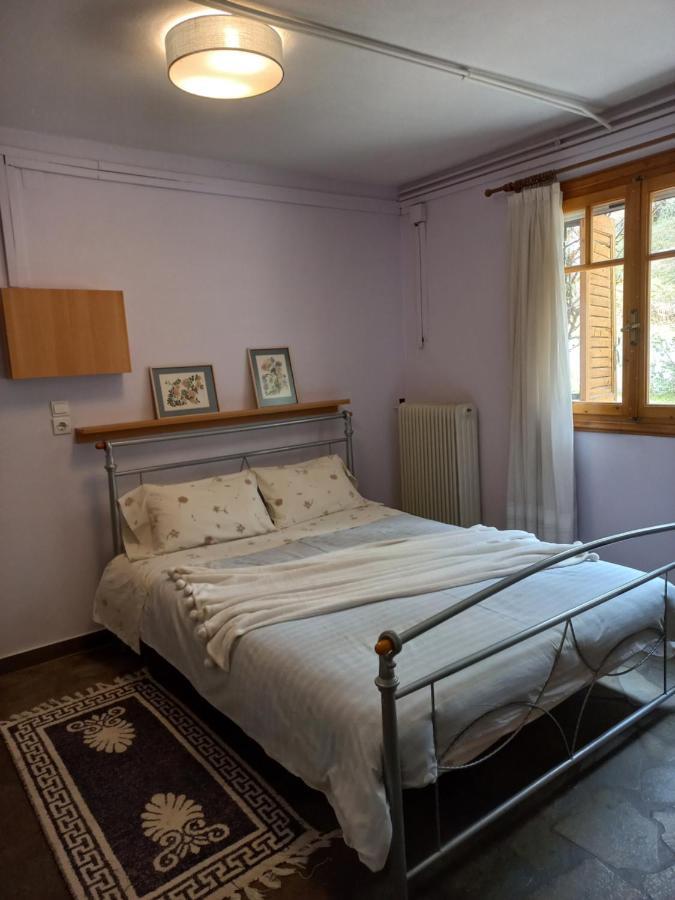 Σπίτι Σε Ελαιώνα, House In An Olive Grove Apartment Ária Екстериор снимка